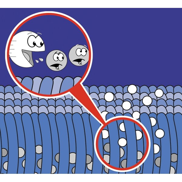 Paklāju tīrīšanas aerosols 500 ml Nano – Maximex-image-1