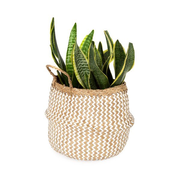 Gaišs jūraszāļu uzglabāšanas grozs Compactor Zic Zac, ⌀ 27 cm-image-1