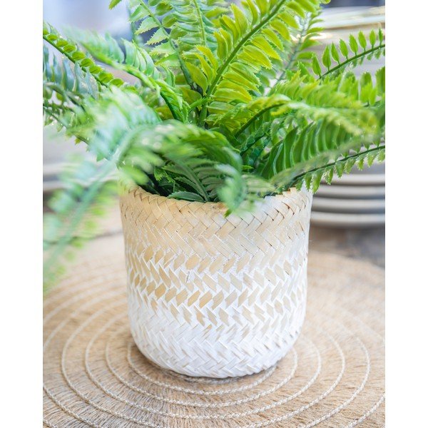 Puķu pods Kitchen Craft Ombré-image-3