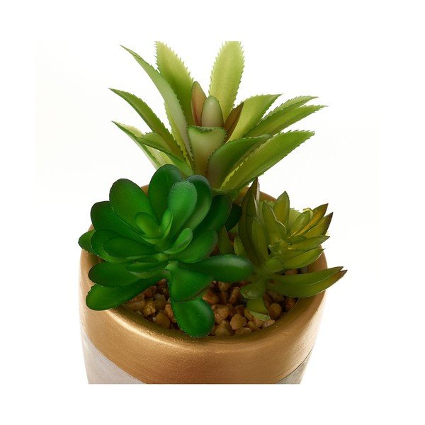 Mākslīgie augi (4 gab.) (augstums 17 cm) Cactus – Casa Selección-image-1