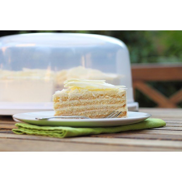 Paplāte ar vāku Fresh – Rotho-image-1