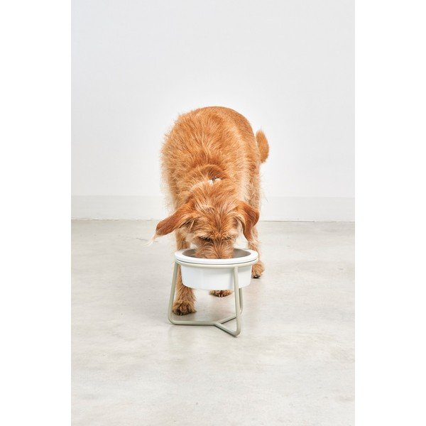 Porcelāna bļodiņa ar pamatni suņiem ø 20 cm Pranzo Greige M – MiaCara-image-2