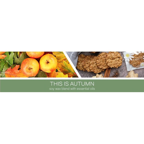 Aromātiskā sojas vaska svece degšanas laiks 35 h This Is Autumn – Goose Creek-image-1
