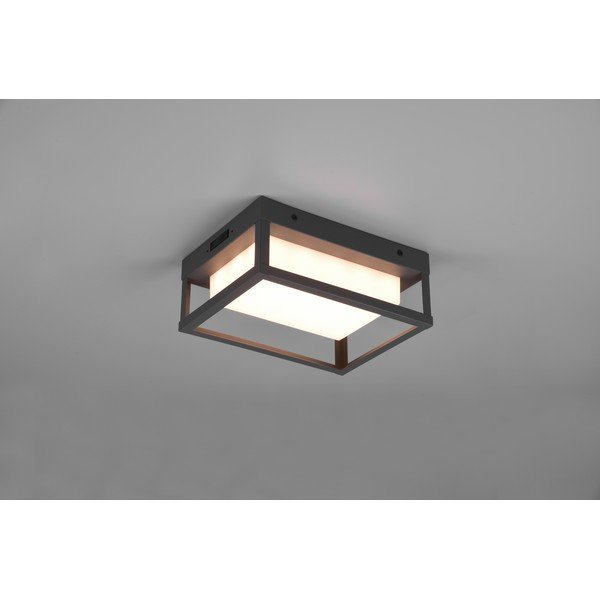 LED āra sienas lampa (augstums 24 cm) Witham – Trio-image-2