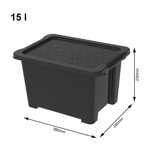 Spīdīga melna plastmasas uzglabāšanas kaste ar vāku Evo Easy – Rotho-image-1