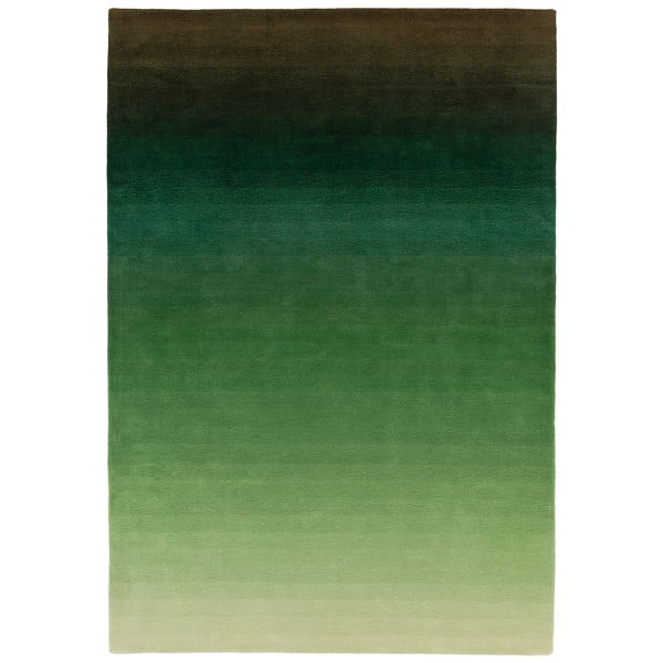 Zaļi pelēks paklājs Asiatic Carpets Ombre, 160 x 230 cm