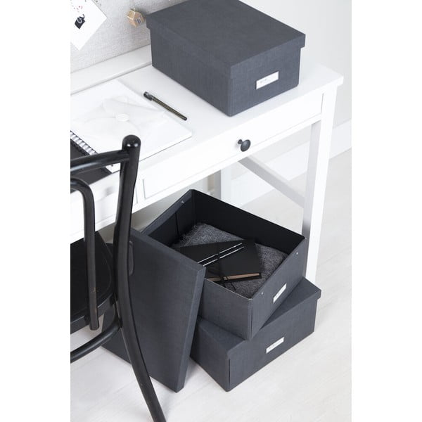 Uzglabāšanas kaste ar vāku Karin – Bigso Box of Sweden-image-1