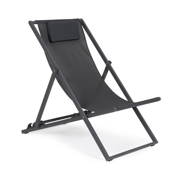 Antracīta pelēks metāla dārza zvilnis Taylor – Bizzotto