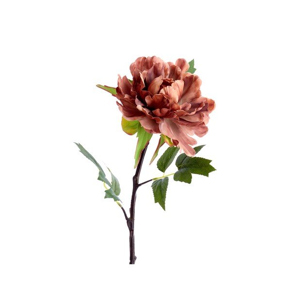 Mākslīgais augs (augstums 65 cm) Peonia – Light & Living-image-1
