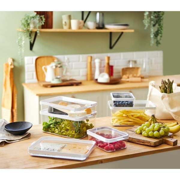 Plastmasas ledusskapja organizators Cauma – Rotho-image-4