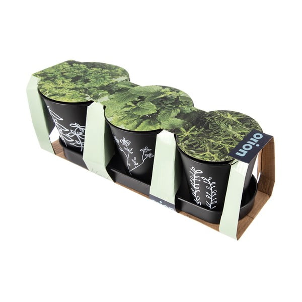 Metāla puķu podi garšaugiem (3 gab.) ø 11 cm Black – Orion-image-3