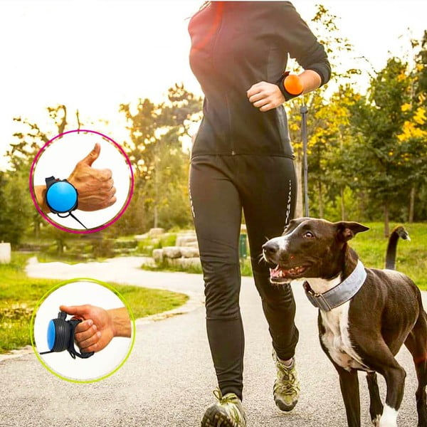 Melna pavada M izmērs 3 – Lishinu-image-2