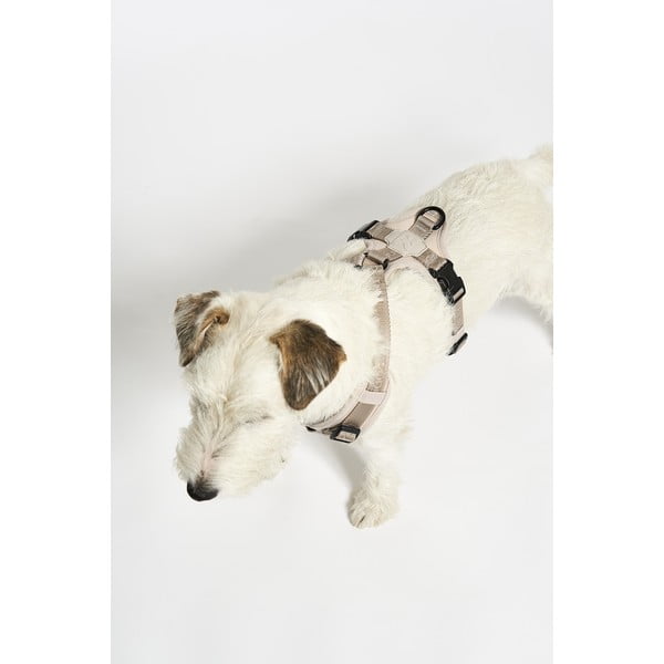 Bēša plecu siksna S garums 30 cm Modena Greige S – MiaCara-image-2