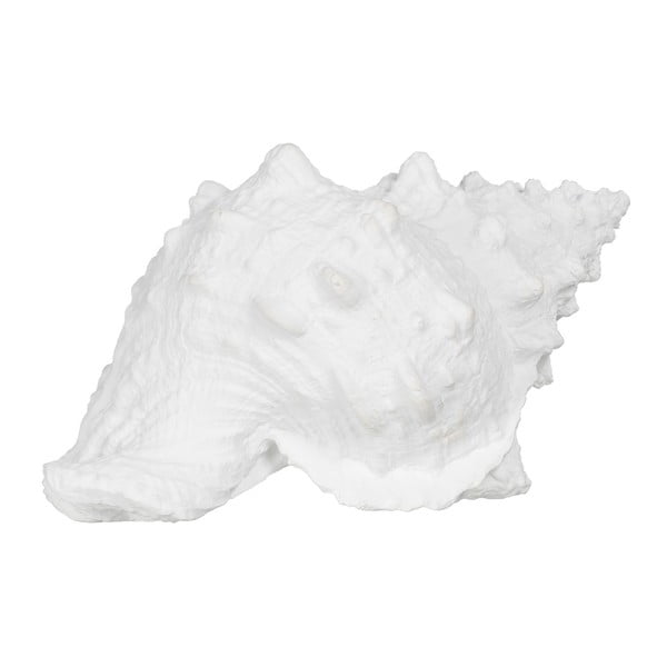 Polirezīna statuete (augstums 12 cm) Seashell – Ixia