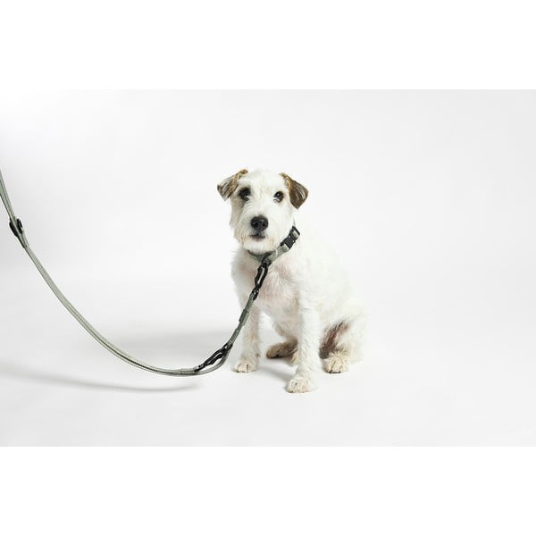 Bēša noņemama pavada garums 200 cm Modena Greige 20 mm – MiaCara-image-3