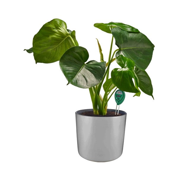 Augsnes PH līmeņa mērītājs – Garden Pleasure-image-1