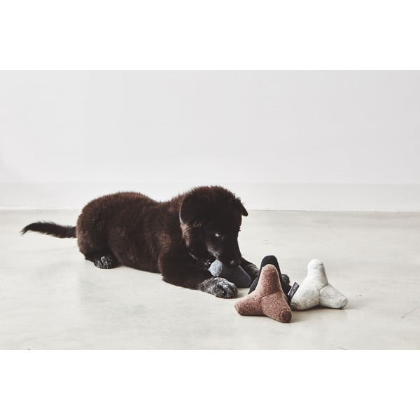 Rotaļlieta suņiem Quattro Dusty Green S/M – MiaCara-image-1