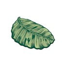 Zaļš vannas istabas paklājiņš 60x100 cm Sheet – Foutastic