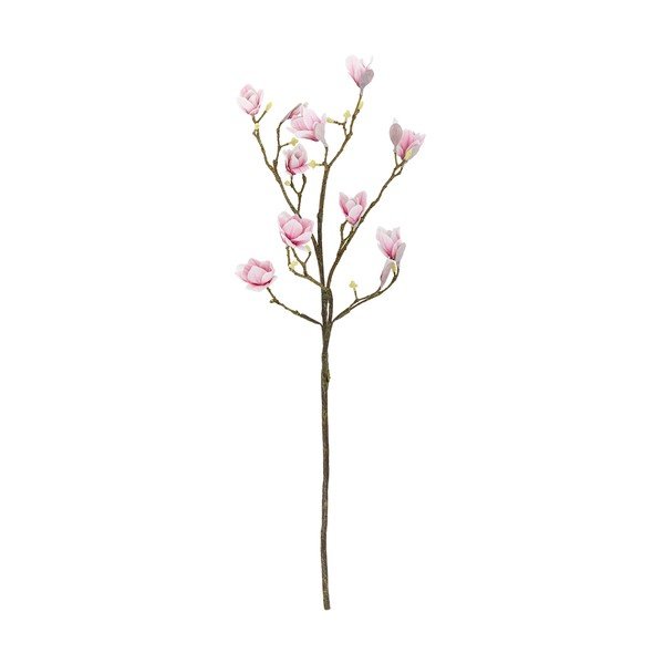 Mākslīgs zariņš (augstums 125 cm) Magnolia – Bloomingville