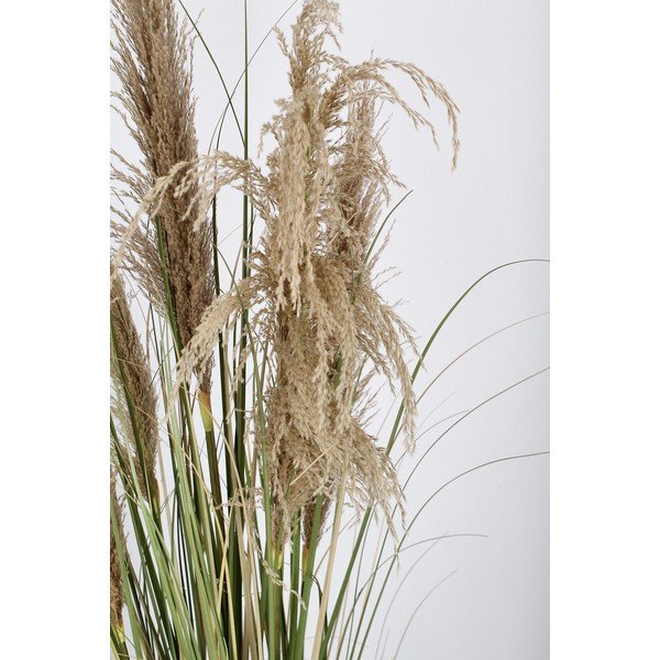 Mākslīgais augs (augstums 145 cm) Austorderia – Bizzotto-image-3