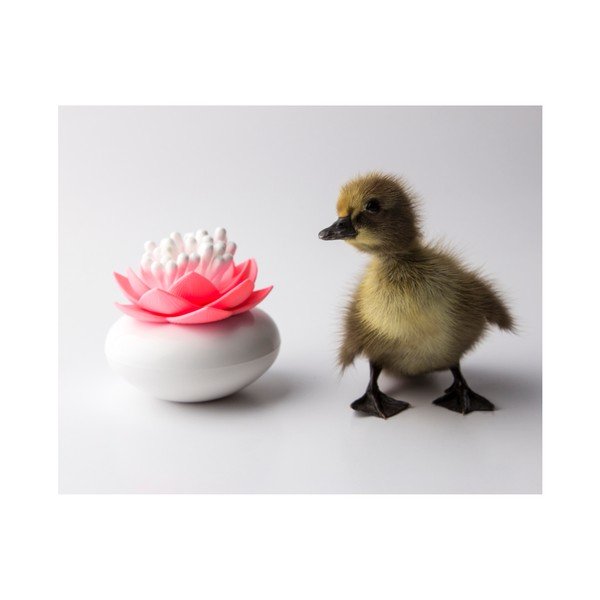 Lotus vates kociņu turētājs, balts/rozā-image-3