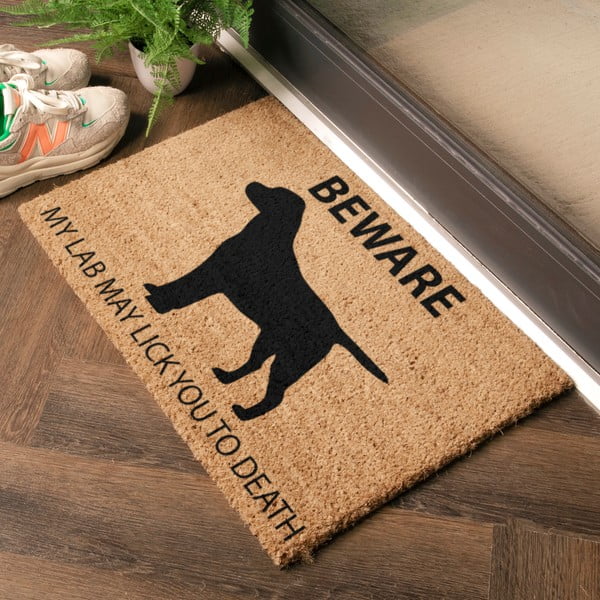 Kokosšķiedras kājslauķis 40x60 cm Labrador – Artsy Doormats-image-1