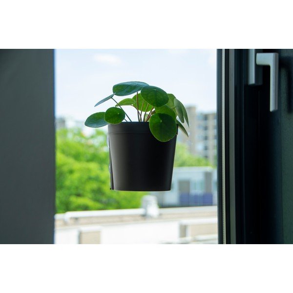 Plastmasas piekarināmi un pie sienas liekami puķu podi (2 gab.) ø 13 cm – Esschert Design-image-4