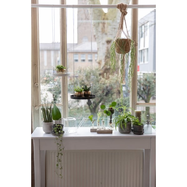 Stikla lejkanna Esschert Design Clear, 1,5 l-image-1