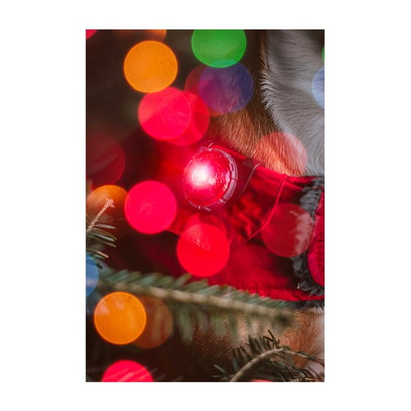 LED apkakles gaisma Red - Orbiloc-image-4