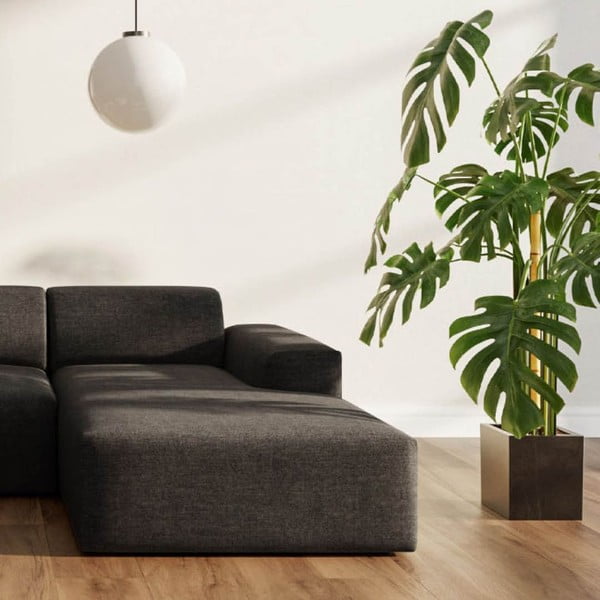 Antracīta pelēks stūra dīvāns (ar labo stūri/ar zvilni) Villet – Rodier-image-3