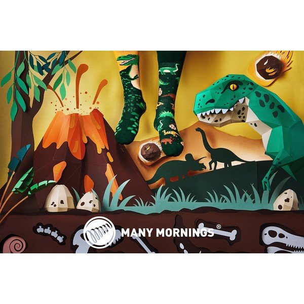 Zeķes Many Mornings The Dinosaurus, izmērs 35-38-image-1
