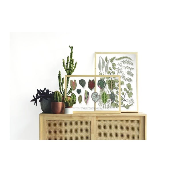 Attēls ar priedes koka rāmi Surdic Leafes Collection, 50 x 70 cm-image-1