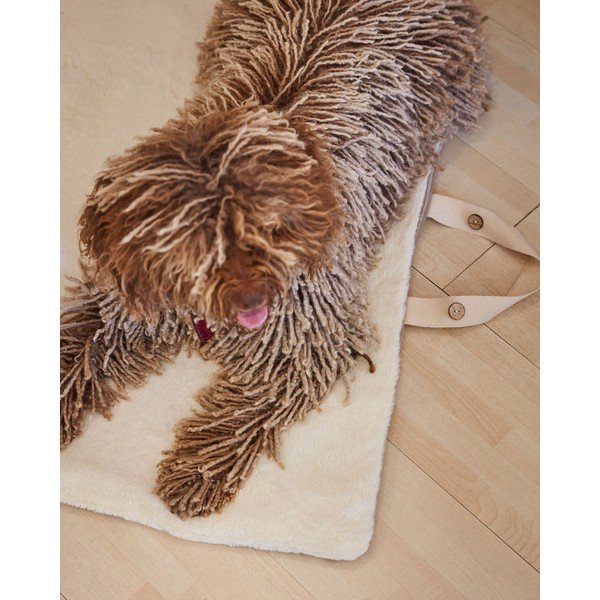 Brūna sega mājdzīvniekiem 60x80 cm Toby – Kave Home-image-1