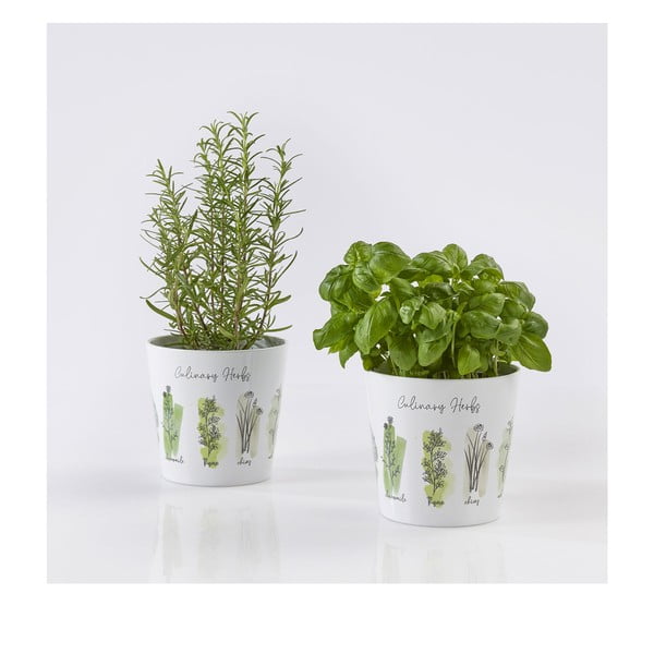 2 keramikas puķu podi garšaugiem ø 14 cm. Dalllas Culinary – Big pots-image-1