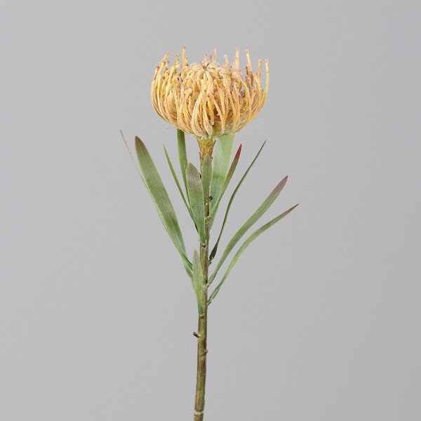 Mākslīgais augs (augstums 43 cm) Protea – Ego Dekor