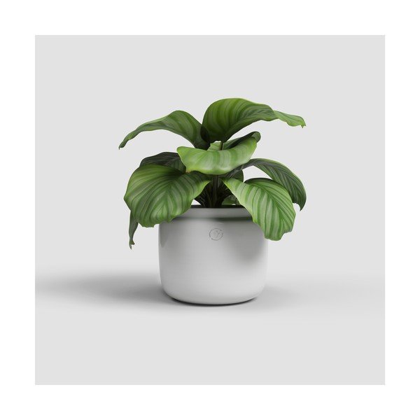 Keramikas ar rokām radīts puķu pods ø 26 cm Astrea – Artevasi-image-1