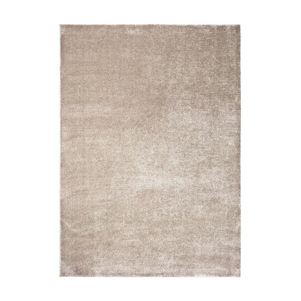 Pelēks/bēšs paklājs 120x170 cm – Universal