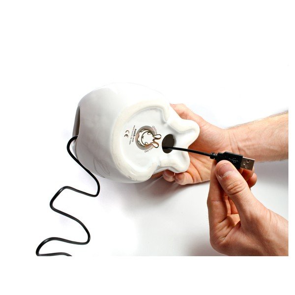 Zaķa lampa-image-3