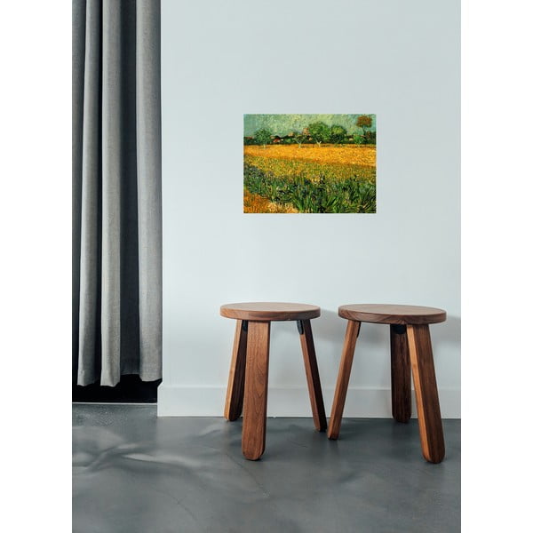 Gleznas reprodukcija Vincent van Gogh – View of arles with irises in the foreground, 40 x 30 cm-image-1