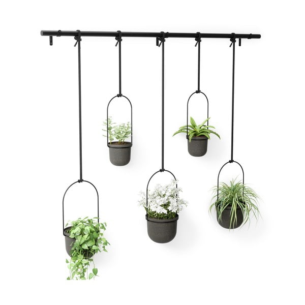 Plastmasas puķu poda apvalki garšaugiem/piekarināmi un pie sienas liekami (5 gab.) ø 7,5 cm Triflora – Umbra-image-4