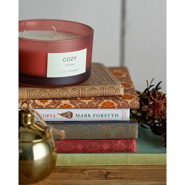 Aromātiskā svece degšanas laiks 25 h Cozy Nectarine – ILLUME x Bloomingville-image-1