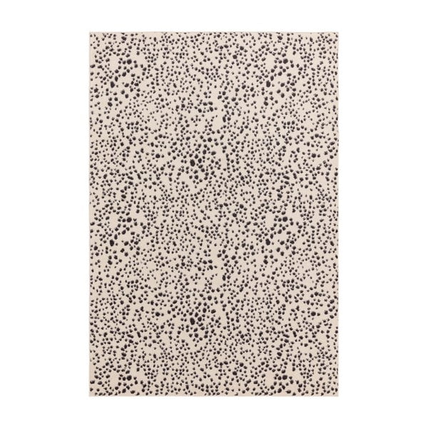 Melnbalts paklājs 200x290 cm Muse – Asiatic Carpets