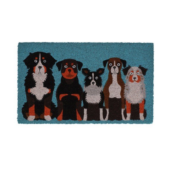 Kokosšķiedras kājslauķis 45x75 cm – Esschert Design