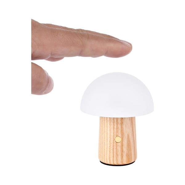 Dabīga toņa oša masīvkoka LED galda lampa ar regulējamu spilgtumu (augstums 7 cm) Alice – Gingko