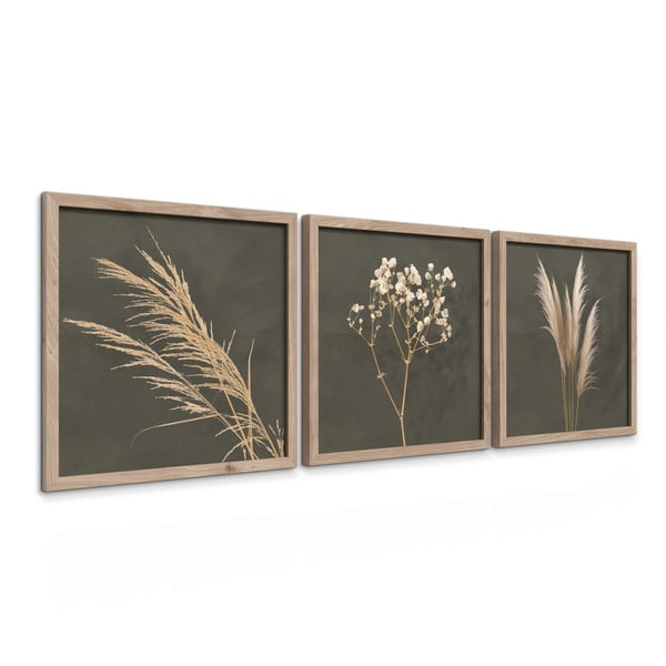 Gleznas (3 gab.) 30x30 cm Pampas – Styler-image-4