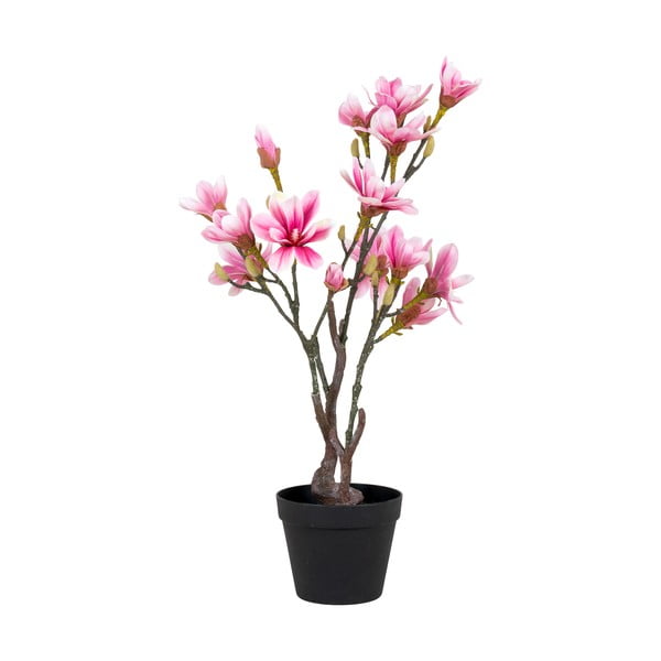 Mākslīgais augs Magnolia – House Nordic