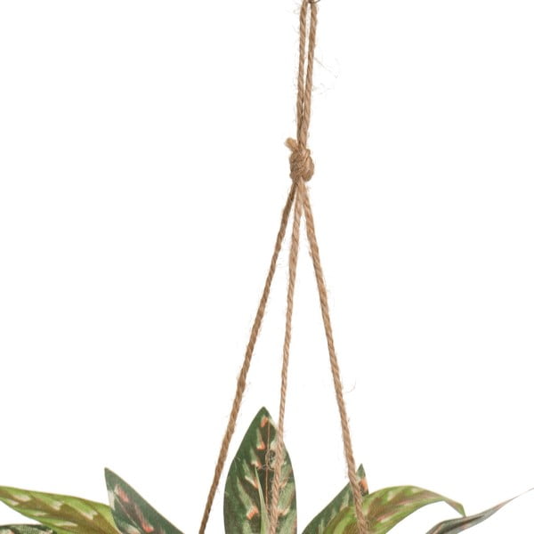 Mākslīgais augs (augstums 25 cm) – Casa Selección-image-2