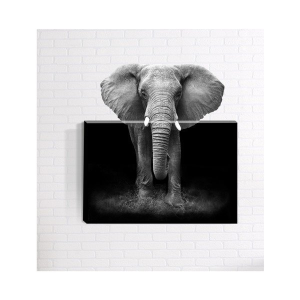 3D sienas glezna Mosticx Āfrika, 40 x 60 cm