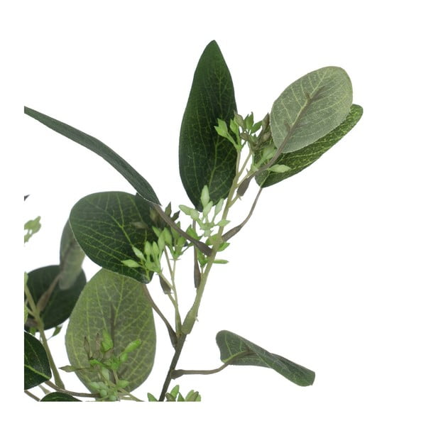 Mākslīgais eikalipts (augstums 59 cm) – Ixia-image-1