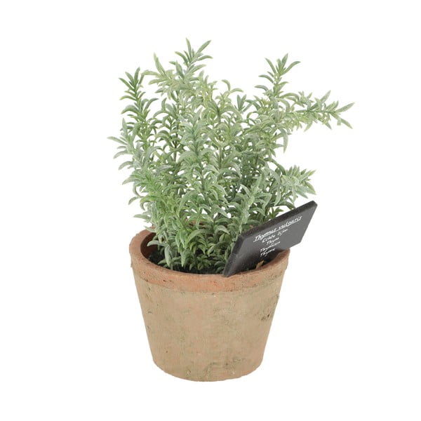 Mākslīgais augs (augstums 21,5 cm) Thyme – Esschert Design-image-3